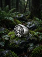 TREE - Ring - Titanium - High Gloss